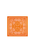 Summer scarves Paisley Pattern Casual Polyester Daily Accessories
